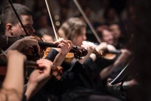 A row of violinists