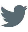 logo-icon-twitter logo-icon-twitter