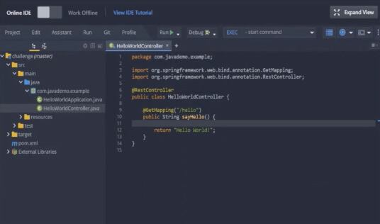 hackerrank-screen-IDE hackerrank-screen-IDE